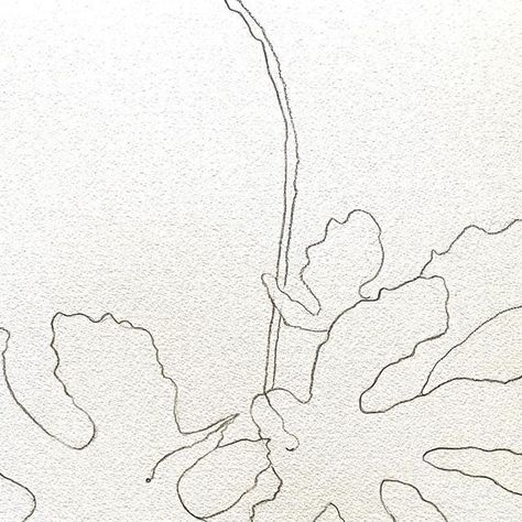 Kathryn Leeds on Instagram: "Sunday’s drawing ~ fig leaves 🍃 from our garden #figleaf #botanicalart #contourdrawing #mymeditation #minimalism #contemporaryart #kathrynleedsartist" Fig Branch Tattoo, Fig Tree Drawing, Leave Tattoo, Fig Branch, Tattoo Abstract, S Drawing, Branch Tattoo, Contour Drawing, Fig Leaves