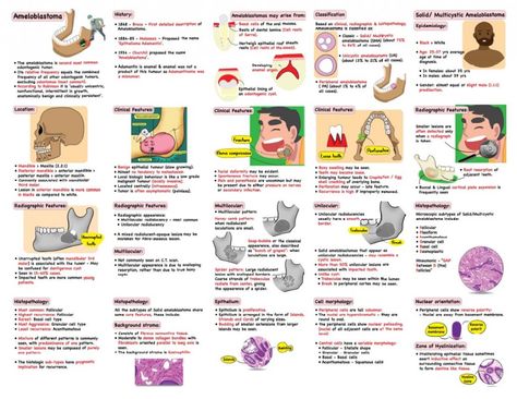 Dental Assisting Notes, Dental Assistant Study Notes, Dental Notes, Dental Assistant Study, Parotid Gland, Oral Pathology, Dental Exam, Basal Cell, Collagen Fibers