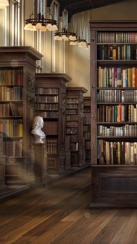 Library Room Design, Harry Potter Library, Wattpad Background, Old Libraries, Episode Interactive Backgrounds, Episode Backgrounds, Zoom Background, Dream Library, Bg Design