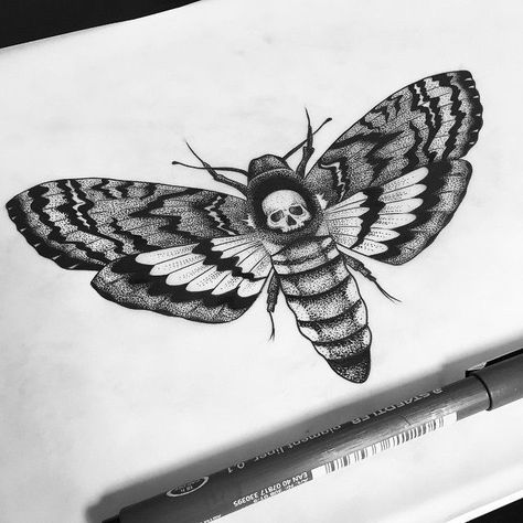 Tattoo Papillon, Lamb Tattoo, Borboleta Tattoo, Moth Drawing, Moth Tattoo Design, Skull Moth, Skull Wings, Insect Tattoo, Deaths Head Moth