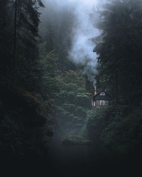 Cabin In The Woods Aesthetic, Dark Forest Aesthetic, Fairytale House, Cabin Aesthetic, Cabin In The Mountains, Forest Cabin, Boat Ride, The Fog, Forest House