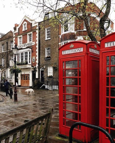 February Aesthetic, University Abroad, Richmond London, London Wallpaper, Aesthetic London, London University, London Vibes, London Houses, London Dreams