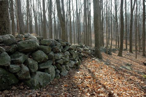 New England Aesthetic, Wonder Of The World, American Gothic, Over The Garden Wall, Cosmic Horror, Rock Wall, Old Wall, Witch House, New Haven