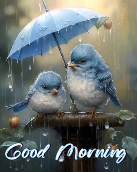 Daisybug - Good Morning sweet friends ☕️ Have a blessed... Good Morning Rain, Rainy Good Morning, Good Morning Rainy Day, Good Morning Beautiful Gif, Morning Rain, Rainy Morning, Happy Good Morning Quotes, Good Morning Beautiful Pictures, Good Morning Beautiful Images