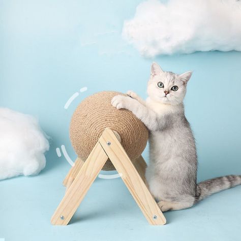 Diy cat toys