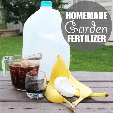 Banana peels, black tea, molasses and eggshell make up a super easy organic home garden fertilizer. Just add to an empty jug, mix with rainwater and go! Vegetable Garden Fertilizer, Diy Fertilizer, Homemade Garden, Plant Fertilizer, Vegetable Scraps, Fertilizer For Plants, Simple Organic, Better Homes And Garden, Diy Cans