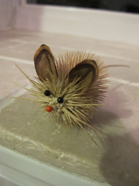 Teasel animal critter - Mouse - pine cone ears, pin eyes and nose, teasel whiskers, leather tail and Tacky glue Thistle Crafts Ideas, Pine Cone Critters, Teasel Crafts, Pine Cone Animals, Thistle Crafts, Crafts Nature, Twig Crafts, Pine Cone Wreath, Pinecone Crafts