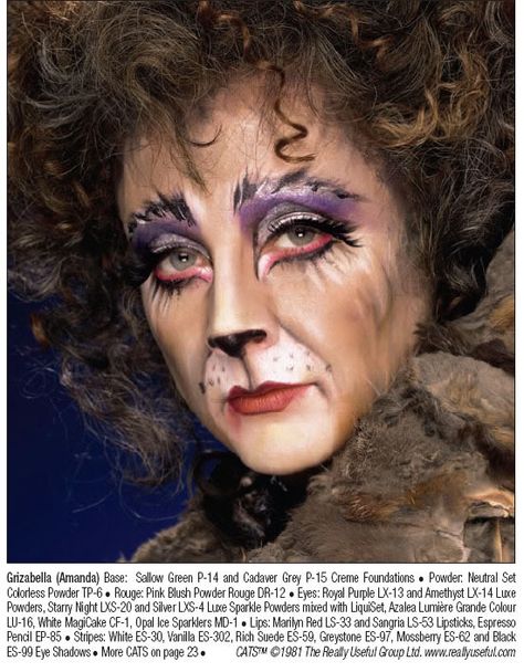 HalloweenMask Cats Makeup Musical, Cats The Musical Costume, Leopard Makeup Halloween, Cats Makeup, Leopard Makeup, Jellicle Cats, Luxury Powder, Theatre Makeup, Cats Musical