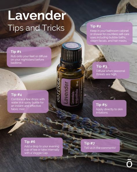 Lavanda Doterra, Do Terra, Doterra Lavender, Tips And Trick, Essential Oil Education, Doterra Essential Oils Recipes, What Are Essential Oils, Essential Oils Guide, Essential Oil Blends Recipes