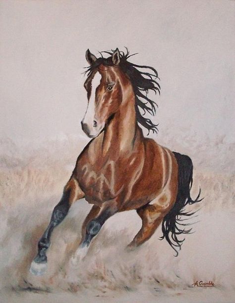 Galloping horse  original oil painting on canvas by AndromedaUK, $400.00 Run Art, Galloping Horse, Horse Cards, Drawing Animals, Chestnut Horse, Cowboy Art, Brown Horse, Equine Art, Arte Animal