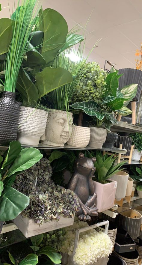 Plant Pictures Aesthetic, Spiritual Room Aesthetic, Plants Everywhere, Plant Mom Aesthetic, Aesthetic Plants, Plants Aesthetic, Earthy Aesthetic, Plant Aesthetic, Flower Therapy