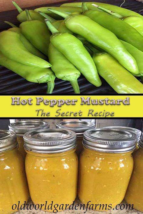 Hot Pepper Mustard Roasted Pepper Hot Sauce Recipe, Hot Mustard Canning Recipe, Yellow Hot Peppers Recipes, Hot Wax Pepper Recipes, Hot Pepper Butter, Hot Pepper Mustard Recipe, Pepper Mustard Recipe, Canning Hot Peppers, Mustard Recipes