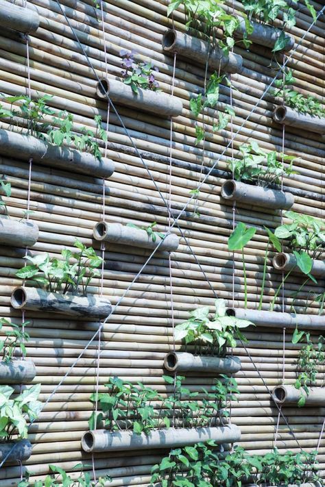 H&P Architects · BB Home Vegetable Garden Boxes, Dream Backyard Garden, Bamboo Structure, Bamboo Architecture, Bamboo House, Bamboo Garden, Bamboo Fence, Fabulous Diy, Vertical Gardens