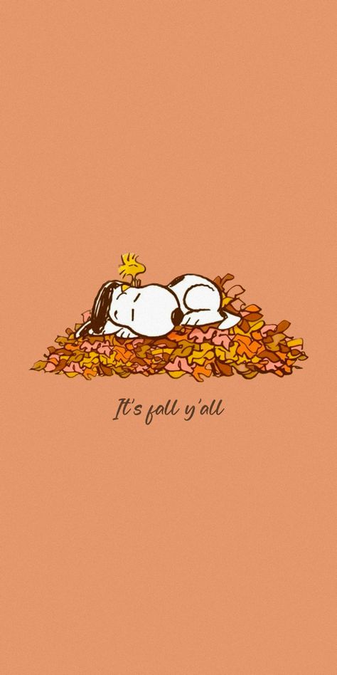 Peanuts Wallpaper, Helloween Wallpaper, Autumn Phone Wallpaper, Halloween Wallpaper Iphone Backgrounds, Halloween Wallpaper Cute, Thanksgiving Wallpaper, Cute Fall Wallpaper, Snoopy Wallpaper, Halloween Wallpaper Iphone