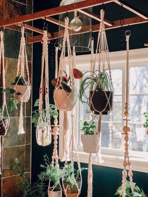 Hanging Plant Ladder | Hometalk Wood Ladder Plant Hanger, Hanging Ladder From Ceiling With Plants, Ladder Plant Holder, Ladder Plant Hanger Ceiling, Hanging Plants In Front Of Window, Plants In Window Ideas, Ladder Plant Hanger, Ways To Hang Plants Indoors, Plant Filled Room