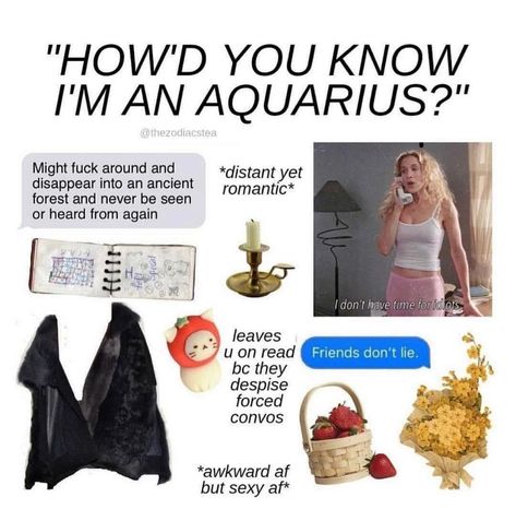 Aquarius Funny, Aquarius Things, Your Rising Sign, Aquarius Aesthetic, Aquarius Art, Star Signs Aquarius, Rising Sign, Aquarius Rising, Aquarius Life