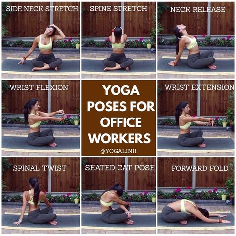 Desk Yoga Poses, Body Stretches Flexibility, Big Tummy, Desk Yoga, Legs Up The Wall, Office Yoga, Neck Yoga, Posture Exercises, Pose Yoga