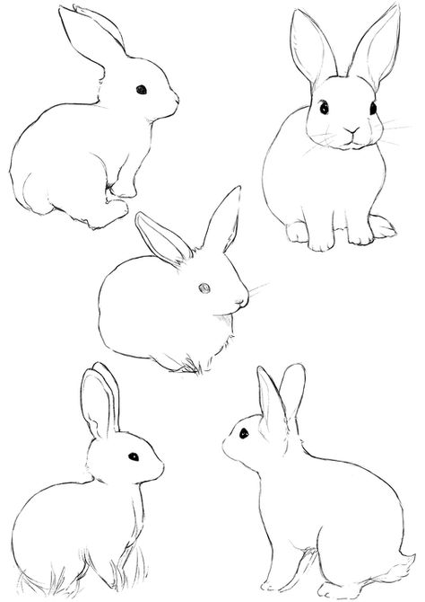 Rabbit Sketches, Rabbit Drawing Easy, Bunny Sketches, Rabbit Drawing, Pencil Sketch Images, Bunny Painting, Bunny Drawing, Home Architecture, Rabbit Art