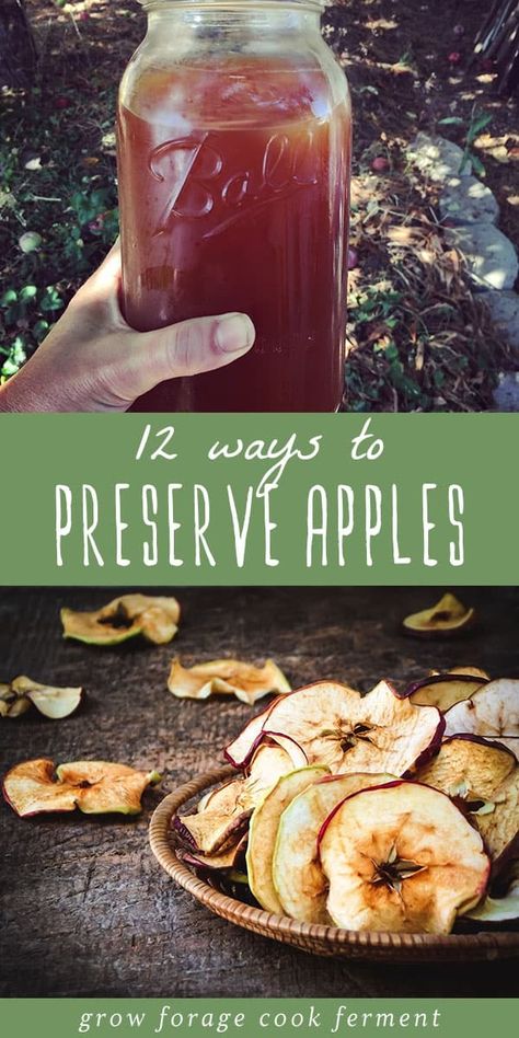 When it's fall and you have an apple tree, you may be wondering how to preserve apples for the rest of the year. Canning and freezing are popular, but there are so many ways you can preserve apples including apple butter, jam, cider and so much more! Learn about 12 methods for preserving apples! Apple Preserving, Apples Canning, Chunky Applesauce Recipe, Preserve Apples, Preserving Apples, Preserving Fruit, Seasonal Recipes Fall, Canning Apples, Preserving Vegetables