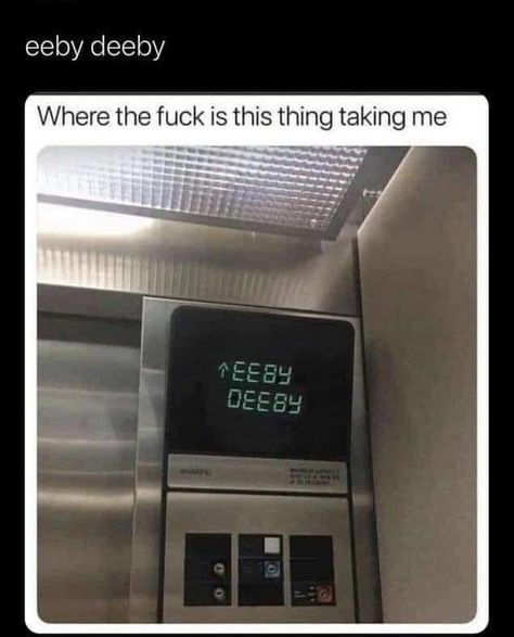 Eeby Deeby Elevator, Eeby Deeby, Hidden Messages, Funny Tumblr Posts, Really Funny Memes, Funny Me, Tumblr Funny, Funny Laugh, Funny Posts