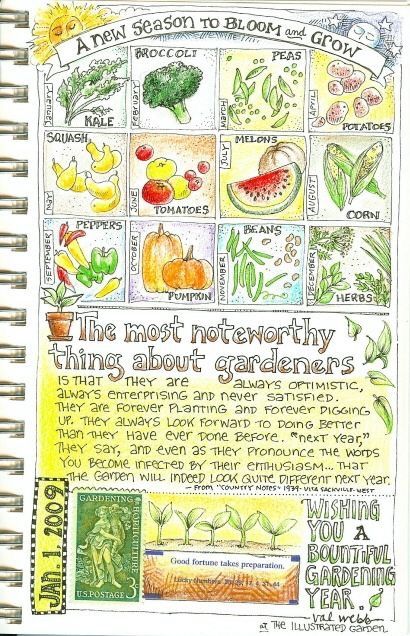 Culinary Illustration, Random Journal, Garden Journaling, Garden Notes, Nature Journals, Gardening Journal, Micro Farm, Garden Patch, Journal Style