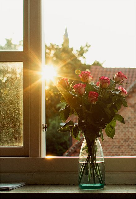 The sun is but a morning star Morning Photography, Good Morning Sunshine, Window View, Through The Window, Beautiful Morning, Jolie Photo, Arte Floral, Morning Light, Love Flowers