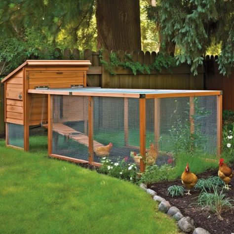 House With Plants, Chicken Coop Building Plans, Chicken Coop Garden, Backyard Chicken Coop Plans, Backyard Chicken Farming, Chicken Coop Designs, Chicken Garden, Yoga Burn, Chicken Coop Plans