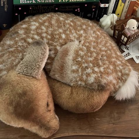 deer fawn doe doll coquette waif assthetic nymphette lolita Fawn Stuffed Animal, Deer Plushie Aesthetic, Fawn Pattern, Sullen Girl, Fawn Plush, Deer Stuffed Animal, Deer Plush, Apple Core, Deer Girl