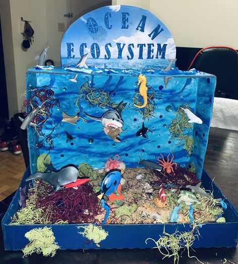 Shoe Box Ecosystem School Projects, Shark Habitat Project, Ecosystems Diorama, Shark Habitat, Cell Model Project, Rainforest Crafts, Habitat Project, Ocean Diorama, Biomes Project