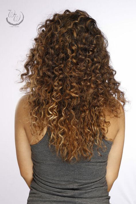 long-curly-hair-back-view Long Curly Hair Back View, Curly Hair Back View, Brown Curly Hair With Highlights, Curly Hair With Highlights, Hair Back View, Dark Brown Hair With Highlights, Medium Curly Haircuts, Short Natural Curly Hair, Highlight Ideas