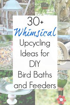 Diy Bird Bath Ideas, Bird Baths Homemade, Bird Bath Ideas, Best Bird Feeders, Bird Feeder Poles, Glass Bird Feeders, Homemade Bird Feeders, Diy Bird Bath, Diy Light Fixtures