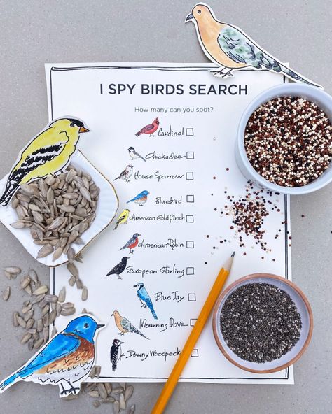 Bird Trivia Games | Darcy Miller Designs Games For A Birthday Party, Bird Games, What Color Am I, Bird Puppet, Glass Bird Feeders, Bird Calls, Nature School, Common Birds, Bird Party