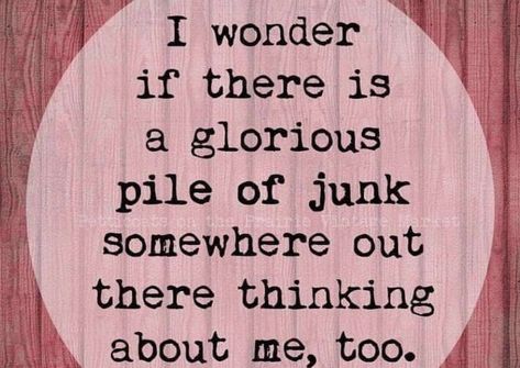 Quotes About Vintage Things, Old Quotes Vintage Life, Quotes About Antiques, Funny Antique Quotes, Antique Quotes Vintage Life, Junk Quotes, Vintage Sayings, Junking Quotes, I’m Not Old I’m Vintage Quotes