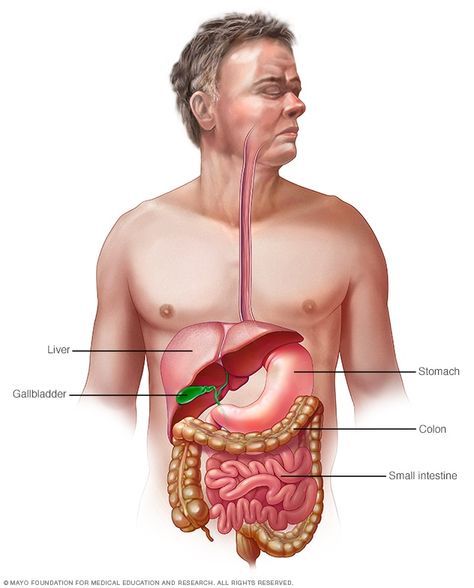 Traveler's diarrhea - Symptoms and causes - Mayo Clinic Indigestion Symptoms, Small Intestine Bacterial Overgrowth, Abdominal Surgery, Digestive Juice, Bone Diseases, Mayo Clinic, Abdominal Pain, Health Articles, Digestive System