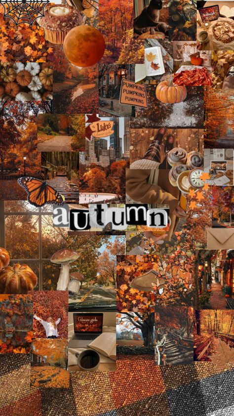 Fall Backrounds, September Vibes, Autumn Images, September Wallpaper, Autumn Phone Wallpaper, Helloween Wallpaper, Halloween Wallpaper Iphone Backgrounds, Thanksgiving Background, Halloween Wallpaper Backgrounds