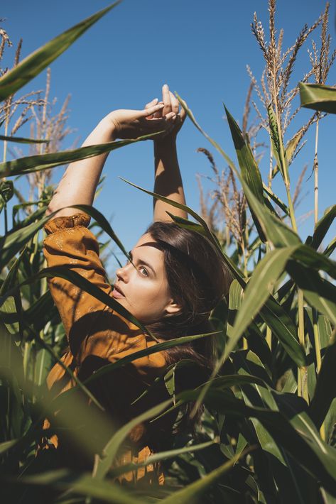 Corn Photoshoot, Corn Field Photoshoot, Cornfield Photoshoot, Botanical Garden Photo Shoot, Corn Field, Photoshoot Aesthetic, Nature Photoshoot, Best Friend Photoshoot, Corn Maze