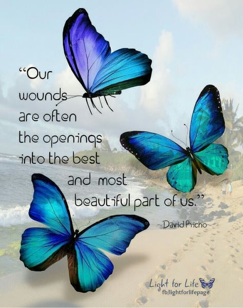 Butterflies Background With Quotes, Rose Hill Designs, What I Like About You, Butterfly Quotes, Butterfly Background, Blue Butterflies, A Quote, Beautiful Butterflies, Positive Thoughts