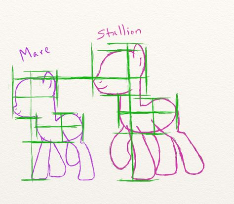 Pony Notes: Mare and Stallion Size Comparison by fuyu-oleander on @DeviantArt Pony Anatomy, Mlp Reference, Mlp Drawing, Drawing Body Proportions, Pony Base, Mlp Bases, Mlp Oc, Mlp Base, Pony Art