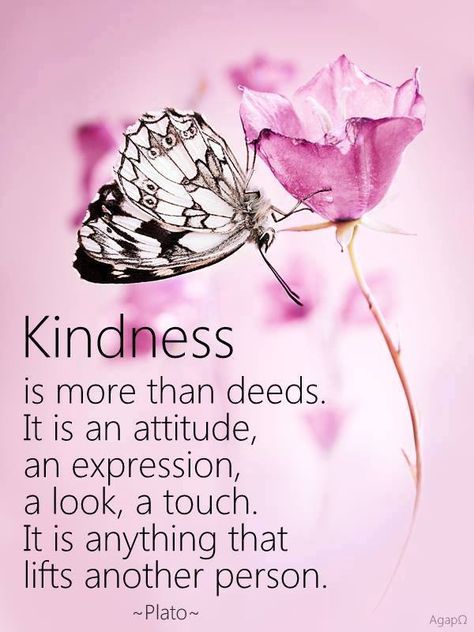 Kindness is more than deeds... <3 Butterfly Quotes, Kindness Quotes, We Are The World, English Quotes, Positive Words, Random Acts Of Kindness, A Butterfly, A Quote, Positive Thoughts