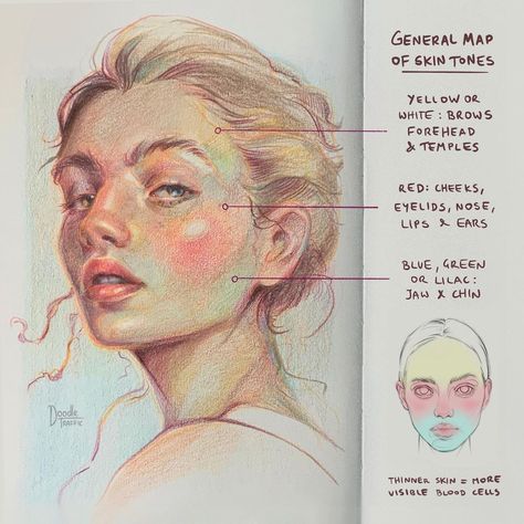 Jessica Matten, Portrait Studies, Colored Pencil Portrait, Color Pencil Illustration, Hur Man Målar, 얼굴 드로잉, 인물 드로잉, Lukisan Cat Air, Arte Inspo