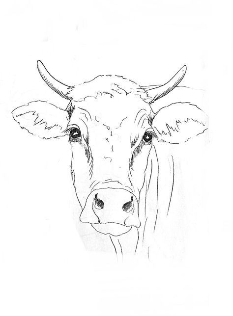 Cow Drawing, White Drawing, Farm Art, Cow Painting, Cow Art, Arte Sketchbook, Animal Sketches, Black And White Drawing, Art Journals