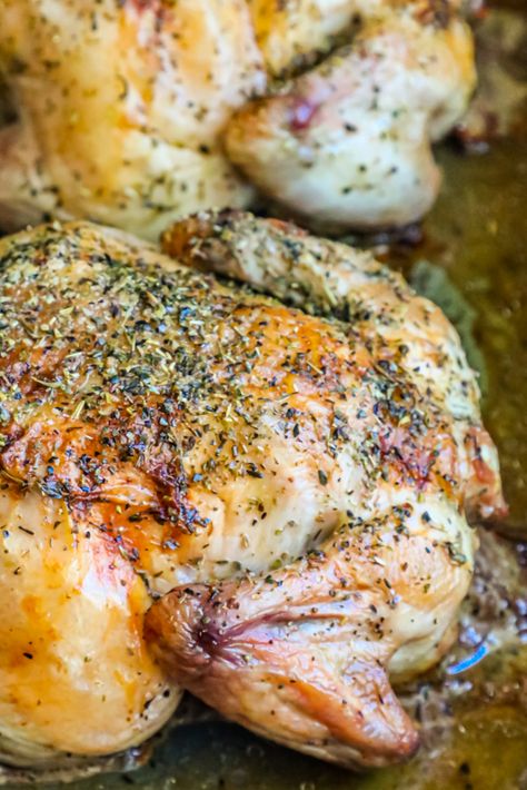 Cornish Hen Recipes Oven, Cooking Cornish Hens, Hen Recipes, Game Hen Recipes, Cornish Game Hen Recipes, Cornish Game Hens, Cornish Hen Recipe, Game Hens, Cornish Hen