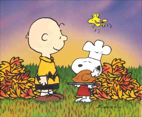 Snoopy Charlie Brown Thanksgiving - Seasonal Wallpaper Image ... Funny Thanksgiving Pictures, Thanksgiving Snoopy, Peanuts Thanksgiving, Wallpaper Snoopy, Charlie Brown Wallpaper, Peanuts Wallpaper, Happy Thanksgiving Images, Thanksgiving Cartoon, Charlie Brown Thanksgiving