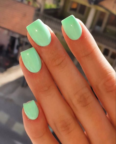 Spring And Summer Nail Colors, Easter Solid Color Nails, Cute Short Solid Color Nails, Full Set Nails Acrylic Short Summer, Solid Color Nails With Accent Nail, Early Spring Nails Solid Colors, Spring Nail Solid Colors, Beach Nails One Color, Short Acrylic Nails Bright Colors