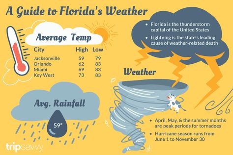 Florida's Climate and Weather: What to Expect in the Sunshine State Key West Florida, Climate And Weather, High School Chemistry, Florida Weather, Tropical Living, Summer Weather, Cool Summer, Sunshine State, Summer Months