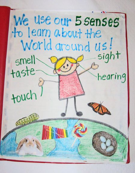 Five Senses Class Book (from Kindergarten....Kindergarten) Senses Anchor Chart, Five Senses Preschool, Senses Preschool, Science Anchor Charts, Kindergarten Classrooms, Chart Paper, Senses Activities, 1st Grade Science, Classroom Anchor Charts