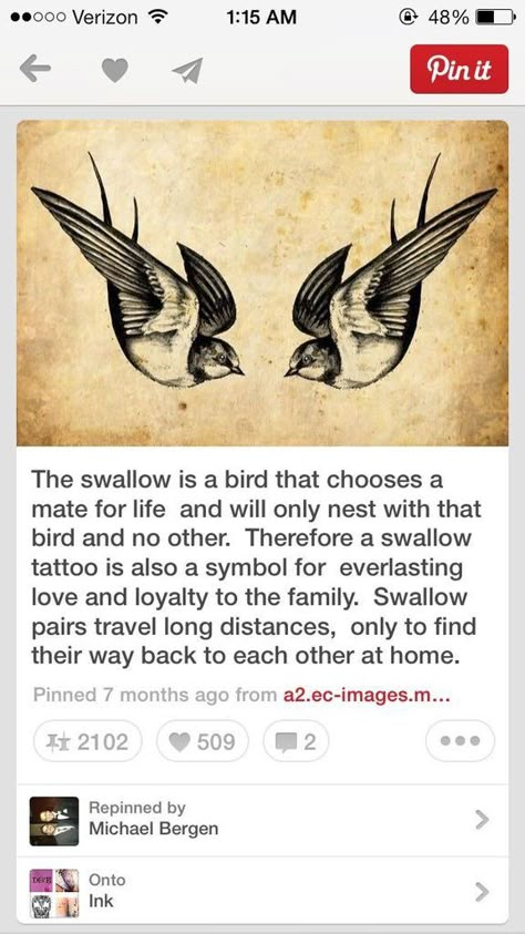 Caitlin ²⁸ on Twitter: "No because the whole two week rule goodbye 😭🤧… " Mate For Life Tattoo, Swallow Tattoo Meaning, Bird Swallow, Simbols Tattoo, Swallow Bird Tattoos, Vogel Tattoo, Super Tattoo, Sparrow Tattoo, Petit Tattoo