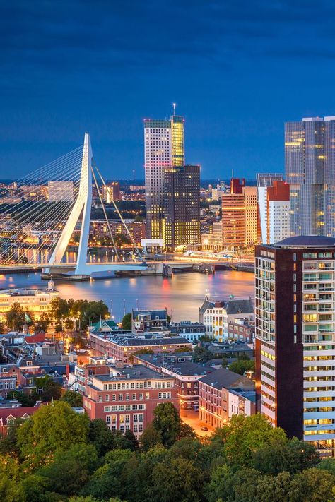 Top 10 Day Trips From Rotterdam, Netherlands Rotterdam, Beautiful Restaurants, New Urbanism, Rotterdam Netherlands, Magical Adventure, Netherlands Travel, Places In Europe, Tourist Places, Most Beautiful Cities