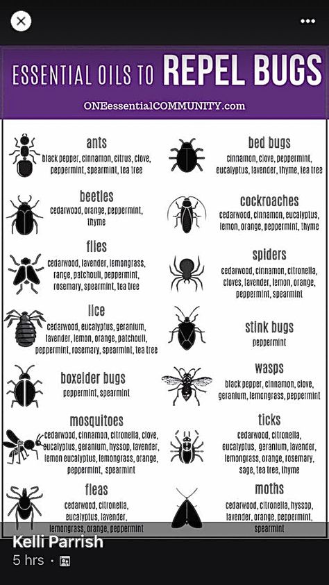 Different Type Of Bug Bites, Bug Bite Identification Chart, Bug Bites Identifying, Types Of Bug Bites, Bug Bite, Bug Off, Writing Motivation, Bug Bites, Faith Quotes