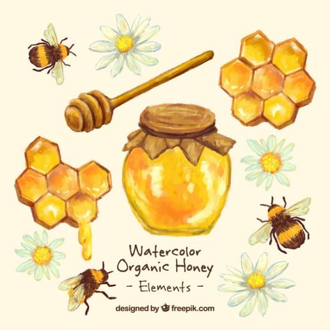 Hand painted honey jar with honeycomb  Free Vector Honeycombs Drawings, Honey Illustration, Honeybee Art, Honey Art, Bee Artwork, Bee Drawing, Zestaw Ikon, Bee Painting, Spelling Bee